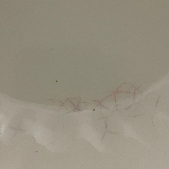 Teleflora Ceramic Decorative Bowl with Gold Colour Rim - Picture 3 of 7